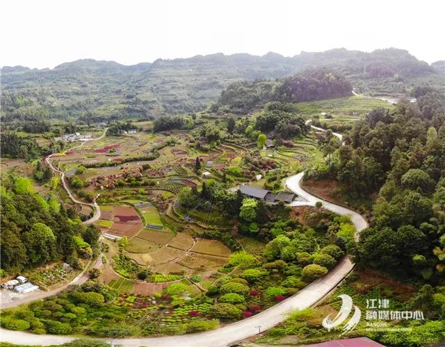 泸州到峨眉山2日_泸州到峨眉山有多少公里_泸州到峨眉山旅游攻略