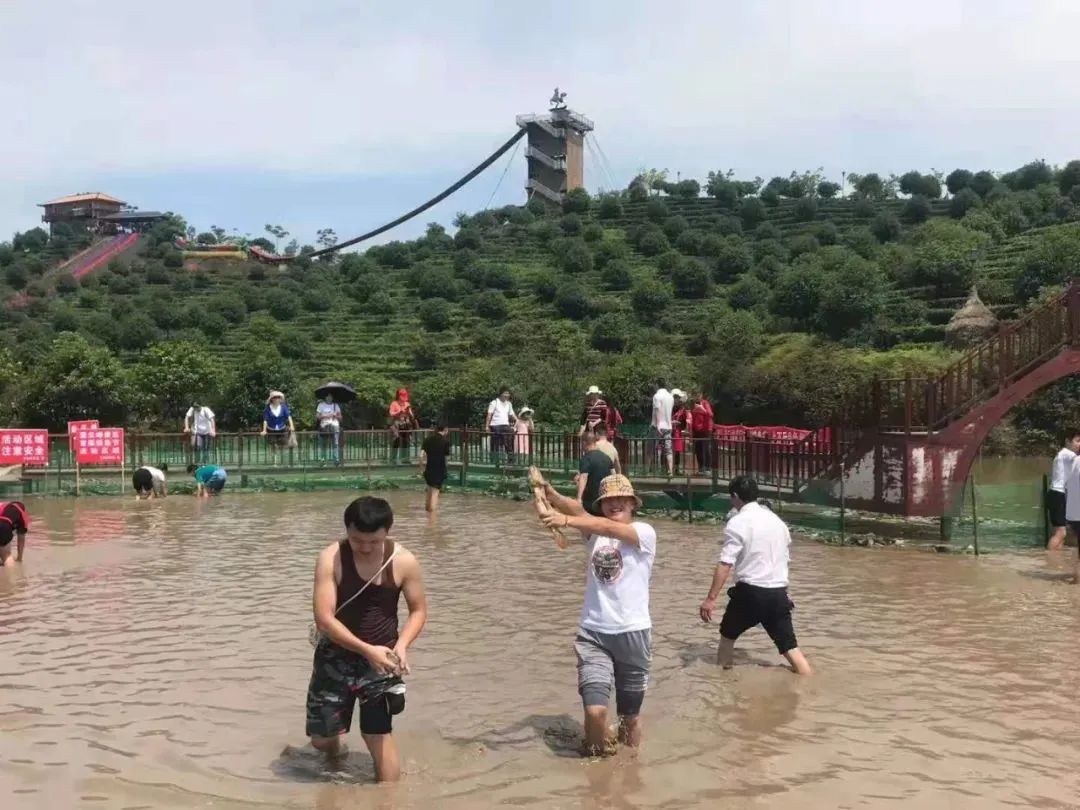 泸州到峨眉山2日_泸州到峨眉山旅游攻略_泸州到峨眉山有多少公里