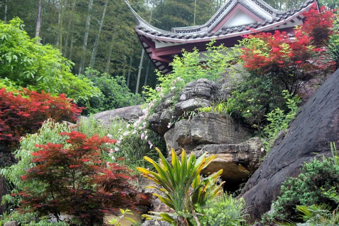 泸州到峨眉山旅游攻略_泸州到峨眉山有多少公里_泸州到峨眉山2日