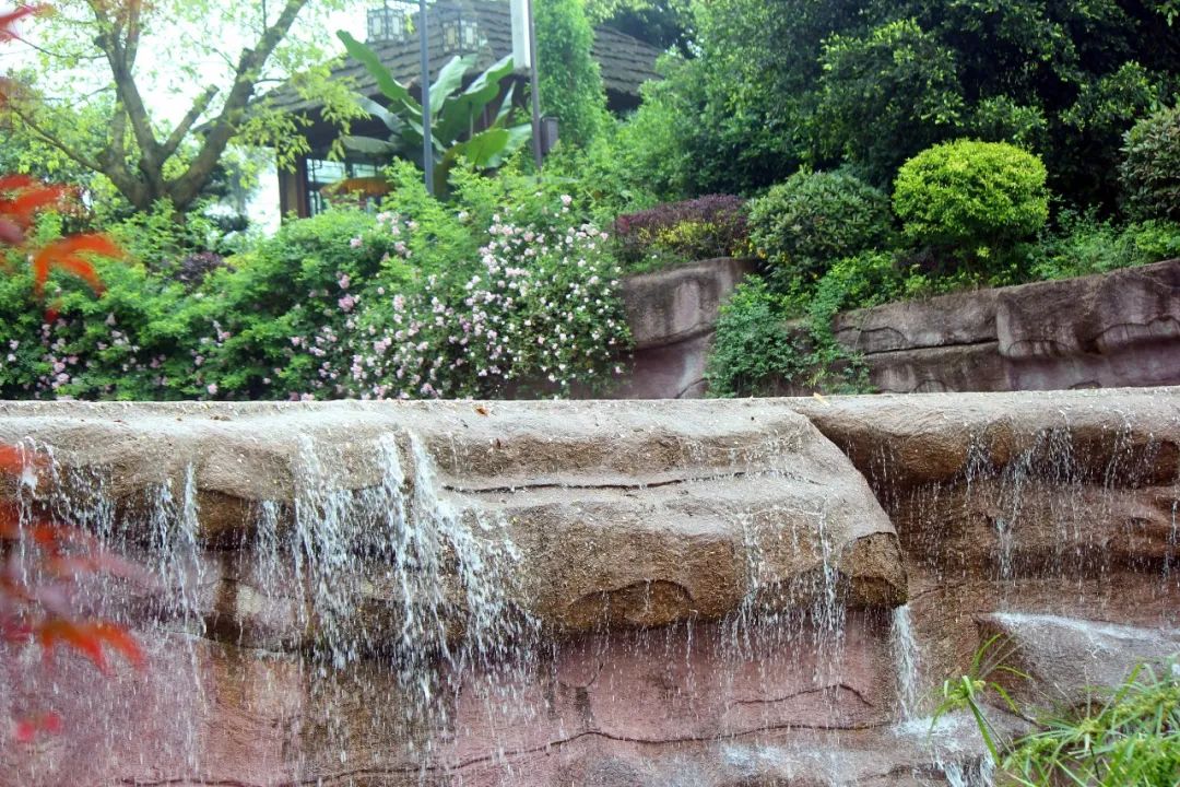 泸州到峨眉山有多少公里_泸州到峨眉山旅游攻略_泸州到峨眉山2日