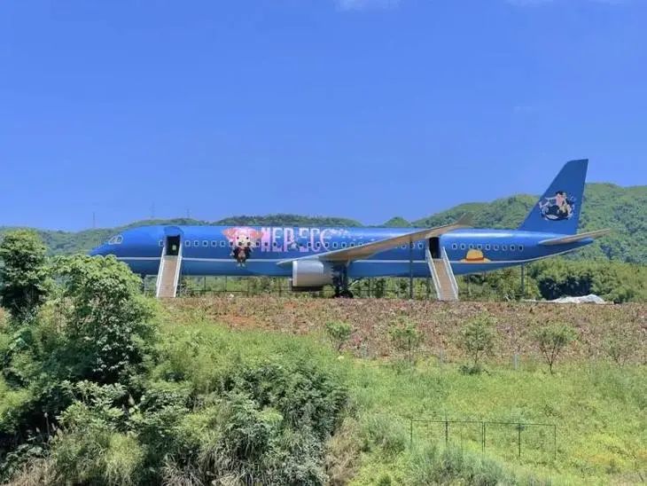 泸州到峨眉山旅游攻略_泸州到峨眉山有多少公里_泸州到峨眉山2日