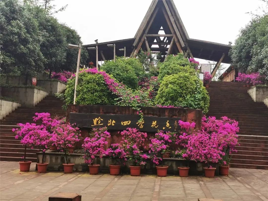 泸州到峨眉山旅游攻略_泸州到峨眉山有多少公里_泸州到峨眉山2日