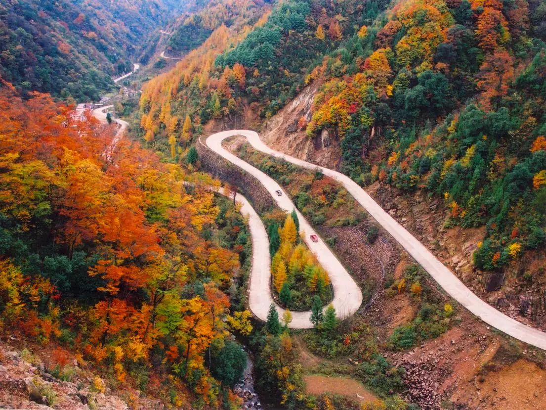 泸州到峨眉山2日_泸州到峨眉山旅游攻略_泸州到峨眉山有多少公里