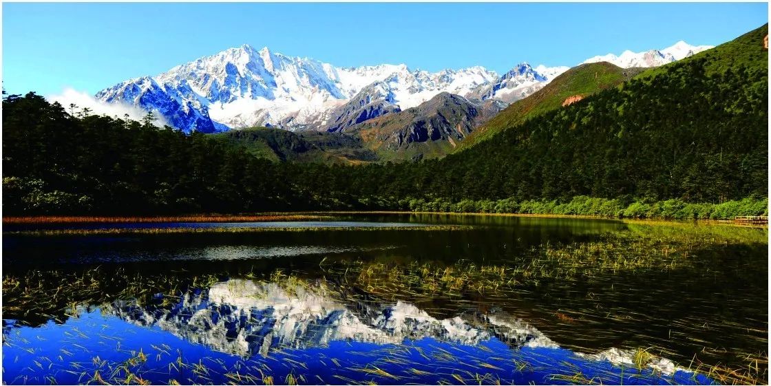 泸州到峨眉山有多少公里_泸州到峨眉山2日_泸州到峨眉山旅游攻略