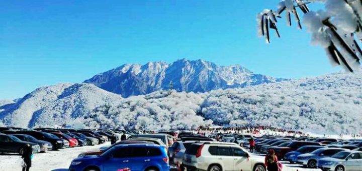 泸州到峨眉山2日_泸州到峨眉山有多少公里_泸州到峨眉山旅游攻略