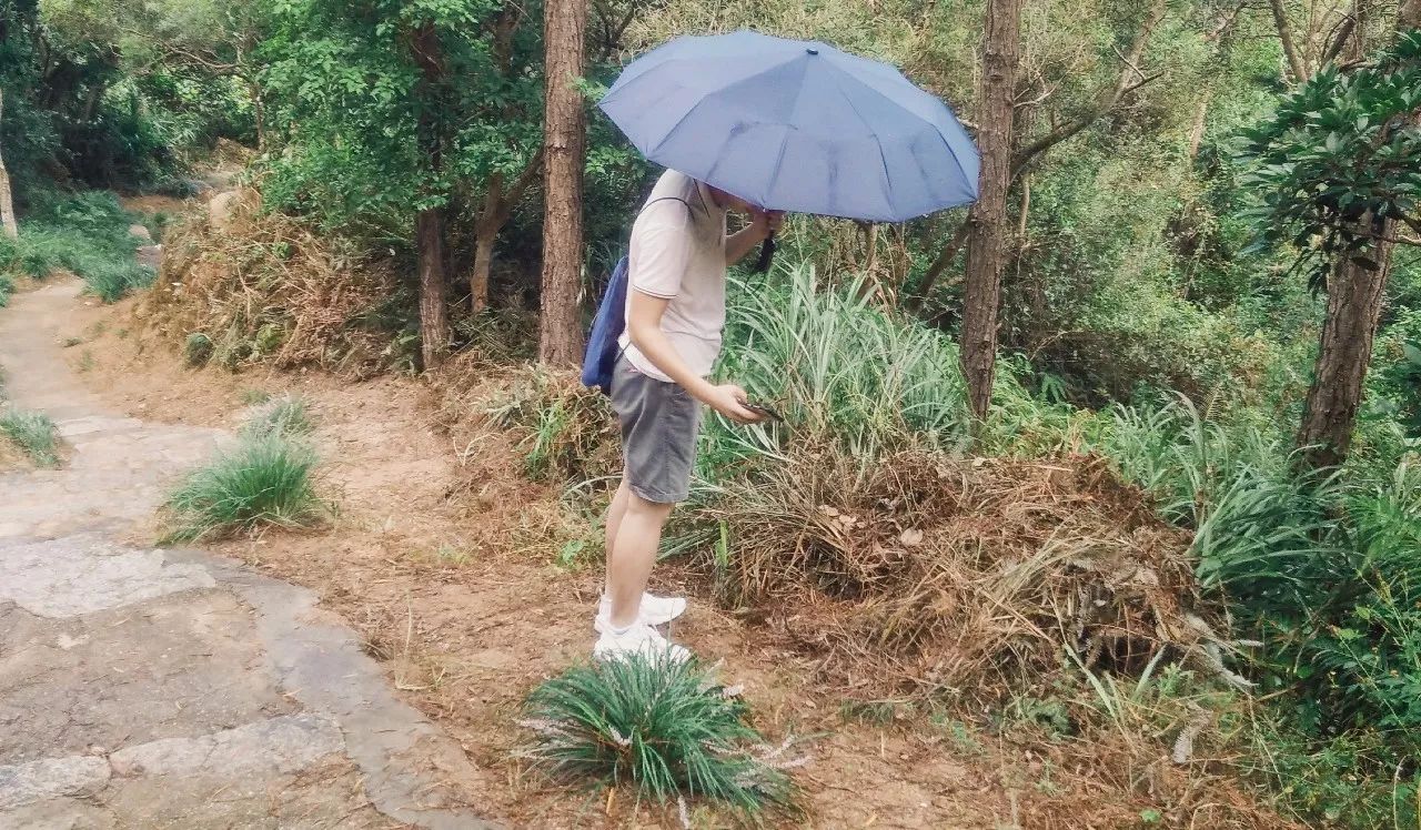 惠州湾_惠州湾攻略旅游双月湾景区_惠州双月湾旅游攻略