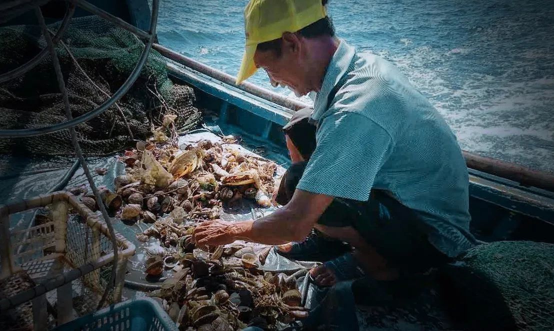 惠州双月湾旅游攻略_惠州湾攻略旅游双月湾景区_惠州湾