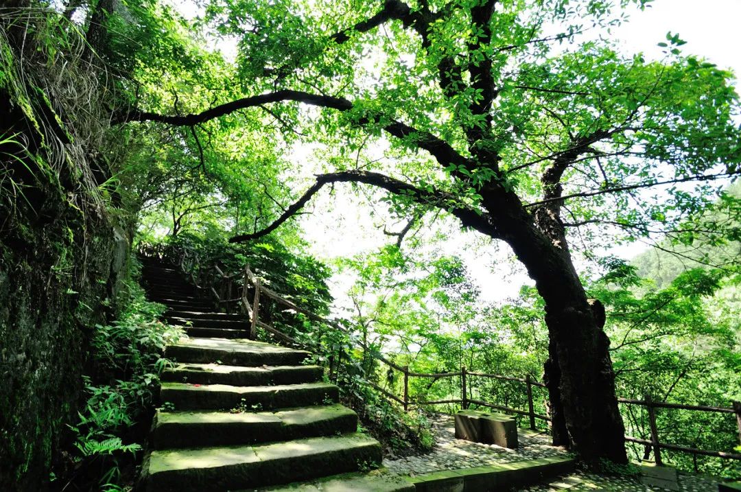 攻略重庆旅游的路线_攻略重庆旅游景点路线_重庆一日旅游攻略