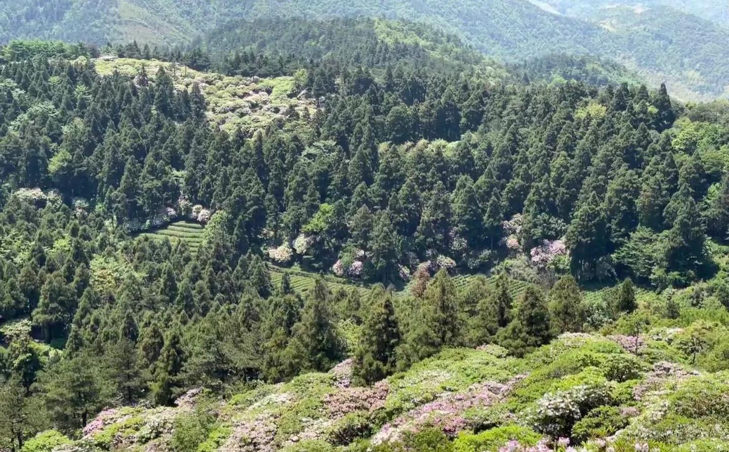 成都天台山旅游攻略_成都天台山游记_天台攻略成都旅游山庄