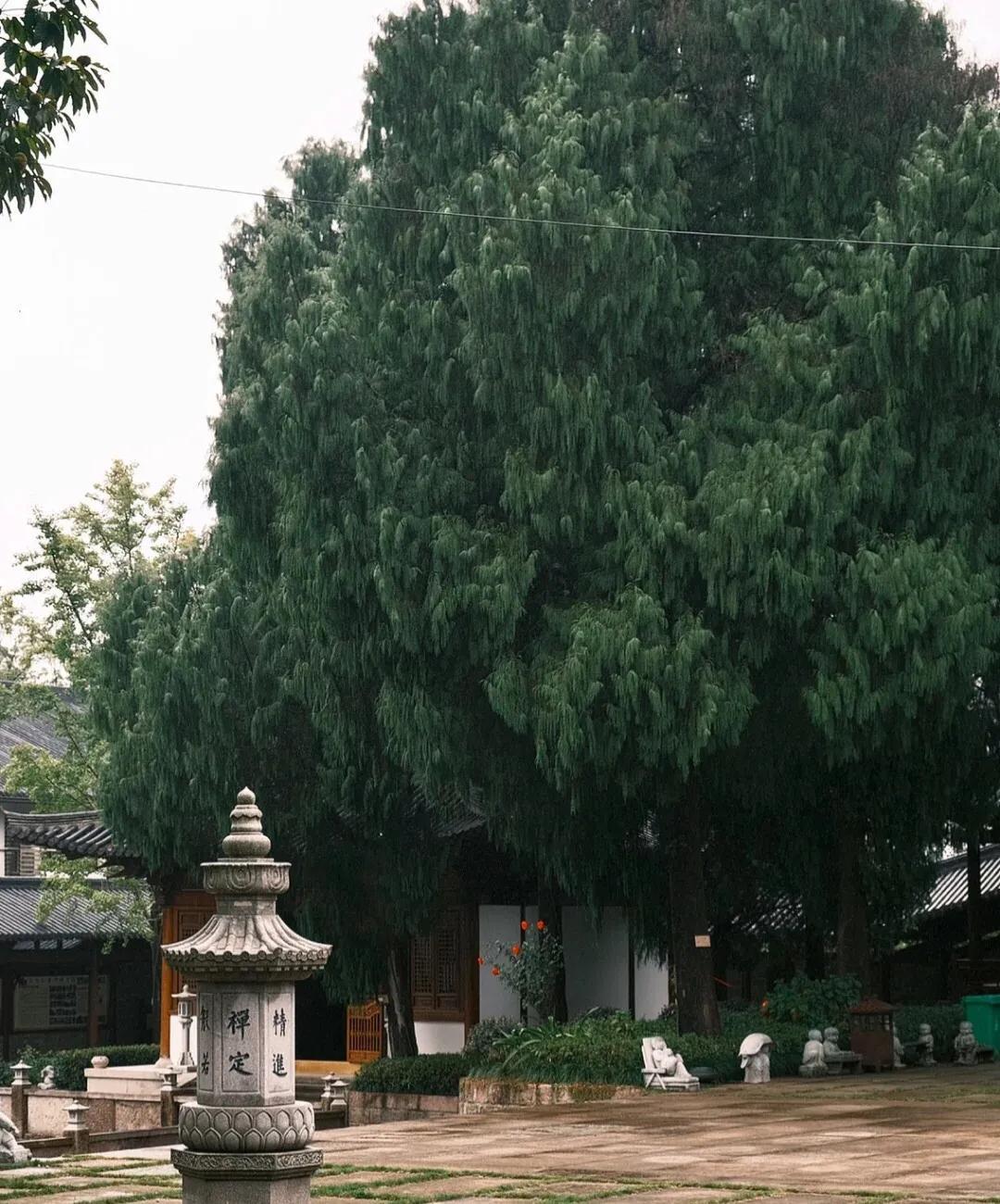 成都天台山游记_天台攻略成都旅游山庄_成都天台山旅游攻略