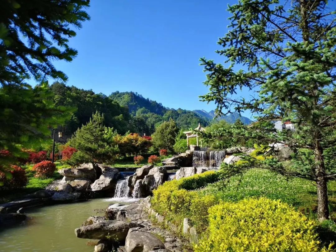森林公园全景_森林公园游玩路线_木王森林公园旅游攻略