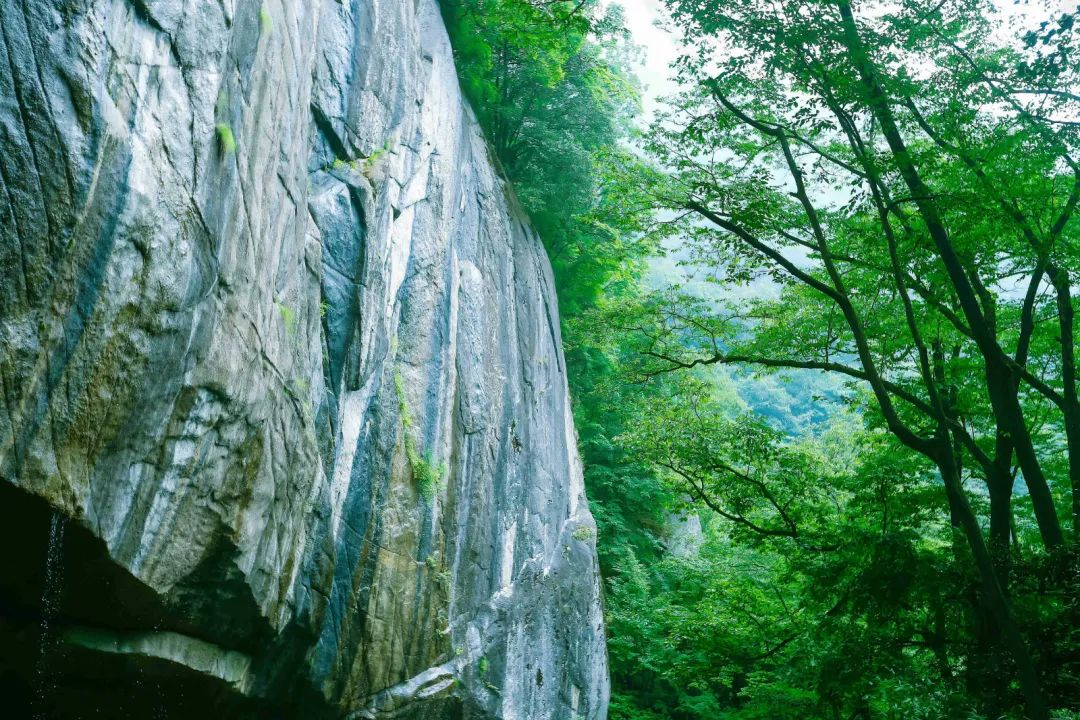 森林公园游玩路线_森林公园全景_木王森林公园旅游攻略