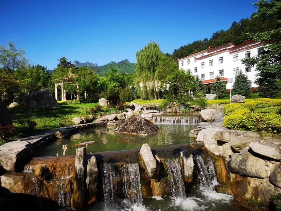 森林公园全景_木王森林公园旅游攻略_森林公园游玩路线