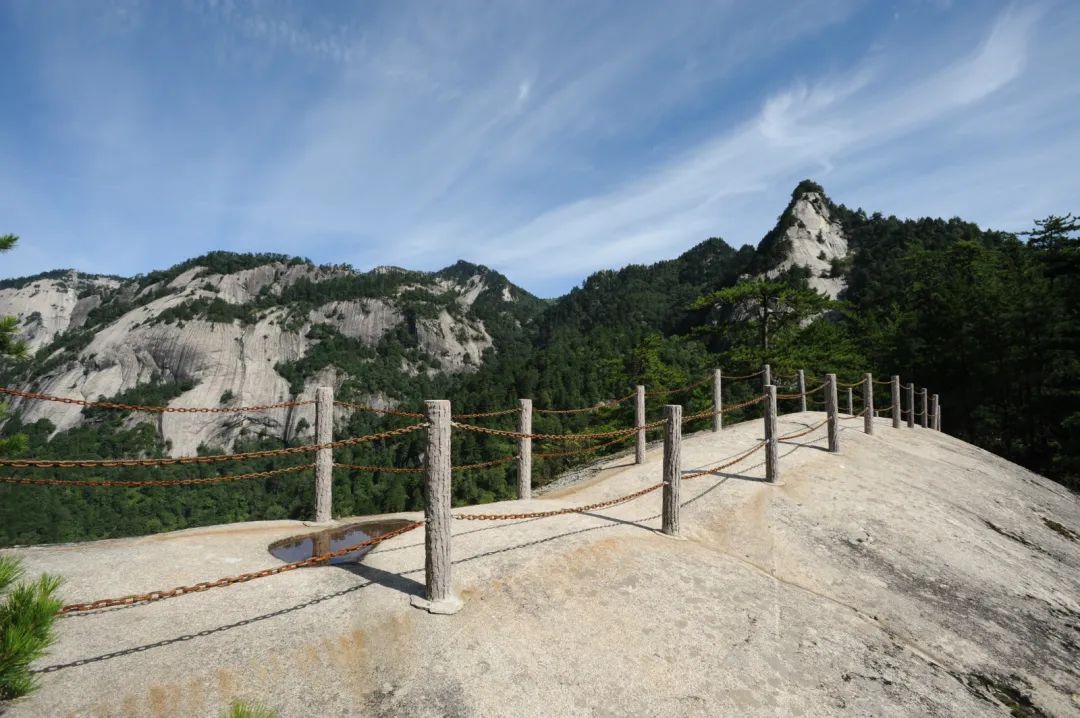 森林公园游玩路线_木王森林公园旅游攻略_森林公园全景