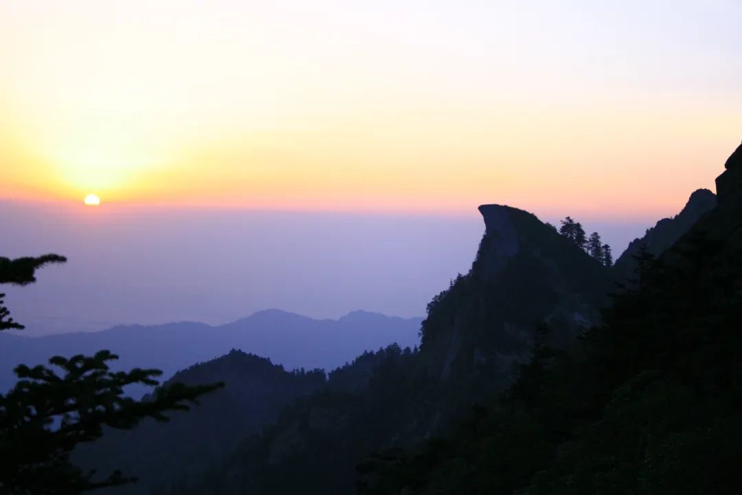 森林公园全景_木王森林公园旅游攻略_森林公园游玩路线