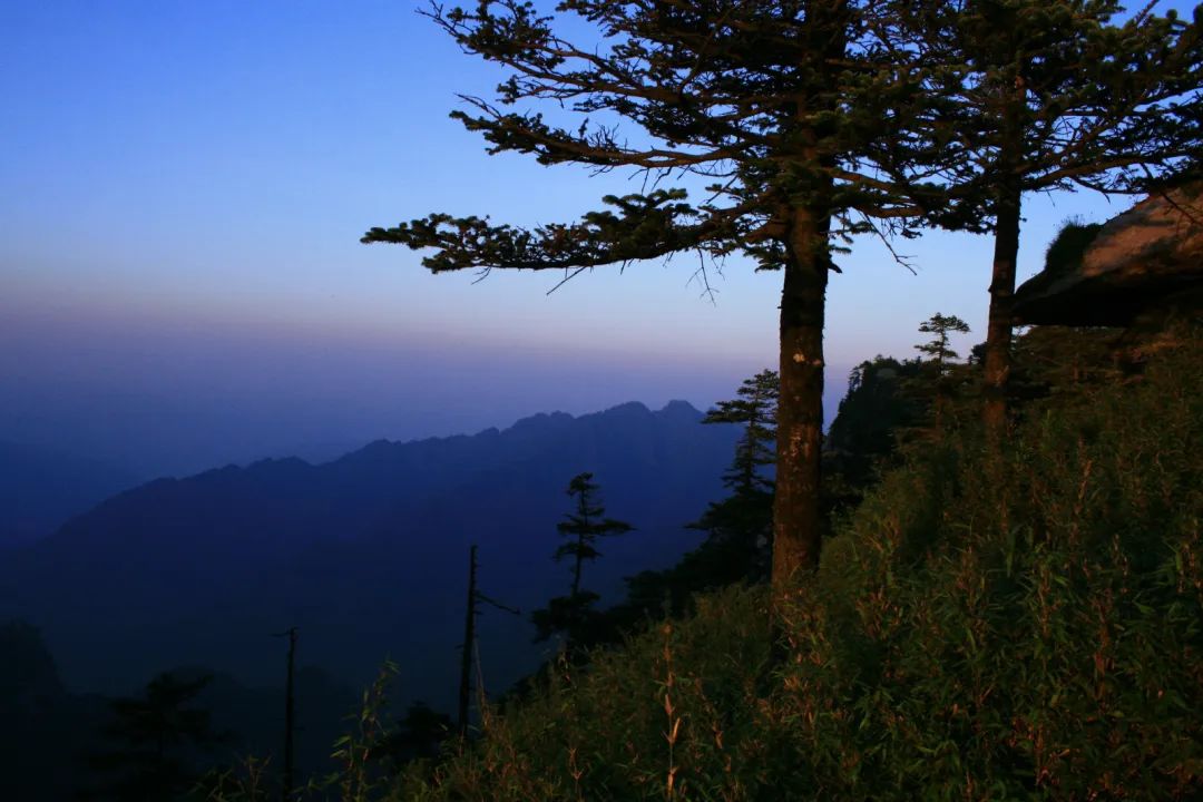 木王森林公园旅游攻略_森林公园全景_森林公园游玩路线