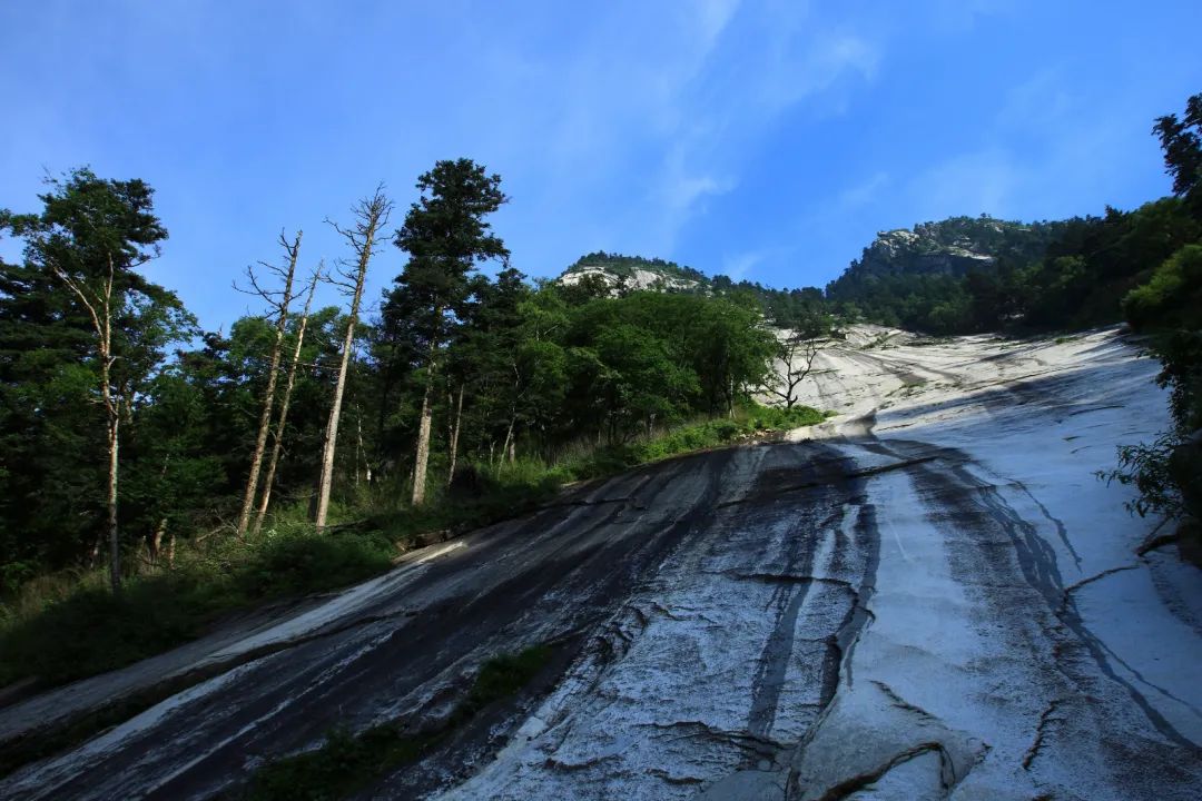 森林公园全景_森林公园游玩路线_木王森林公园旅游攻略