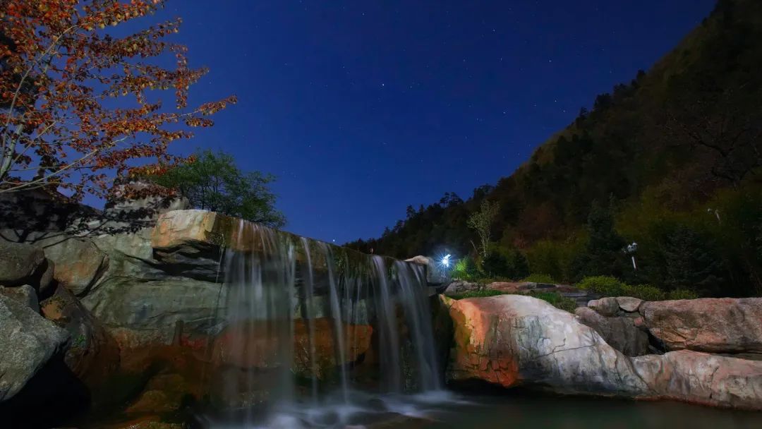 森林公园全景_木王森林公园旅游攻略_森林公园游玩路线