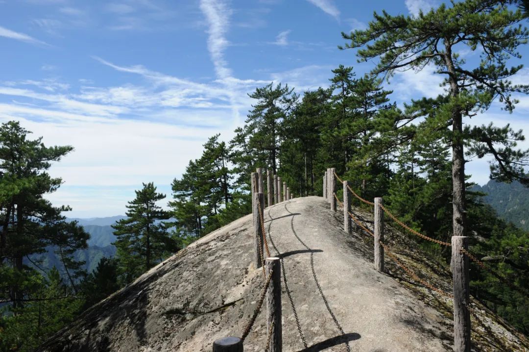 森林公园全景_木王森林公园旅游攻略_森林公园游玩路线