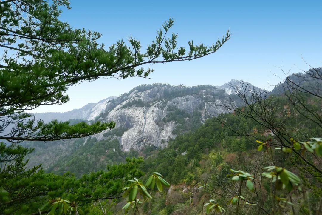 森林公园游玩路线_木王森林公园旅游攻略_森林公园全景