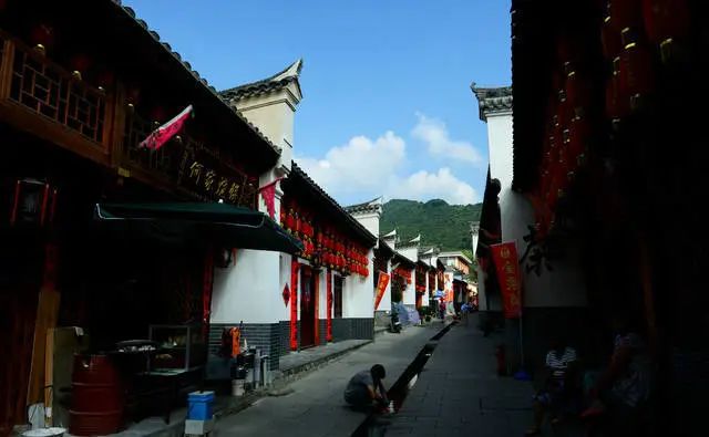 森林公园全景_木王森林公园旅游攻略_森林公园游玩路线