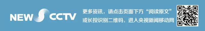 荷兰旅行攻略_荷兰旅游攻略超详细视频_荷兰德国旅游攻略