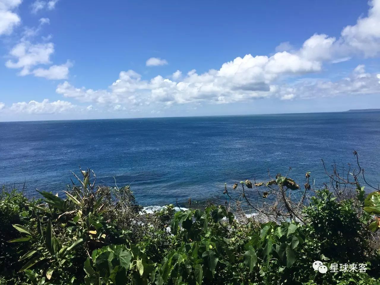 台湾高雄有什么好玩的_台湾高雄的景点_旅游攻略台湾高雄