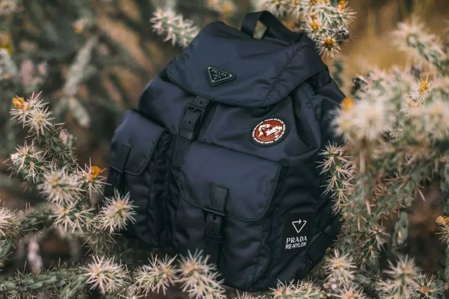 深圳时尚背包生产定制-国内做背包定制(图2) 深圳背包厂家_国内做背包定制_深圳时尚背包生产定制