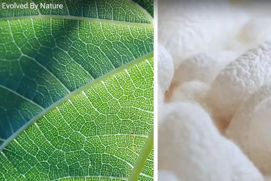 深圳时尚背包生产定制-国内做背包定制(图6) 国内做背包定制_深圳背包厂家_深圳时尚背包生产定制