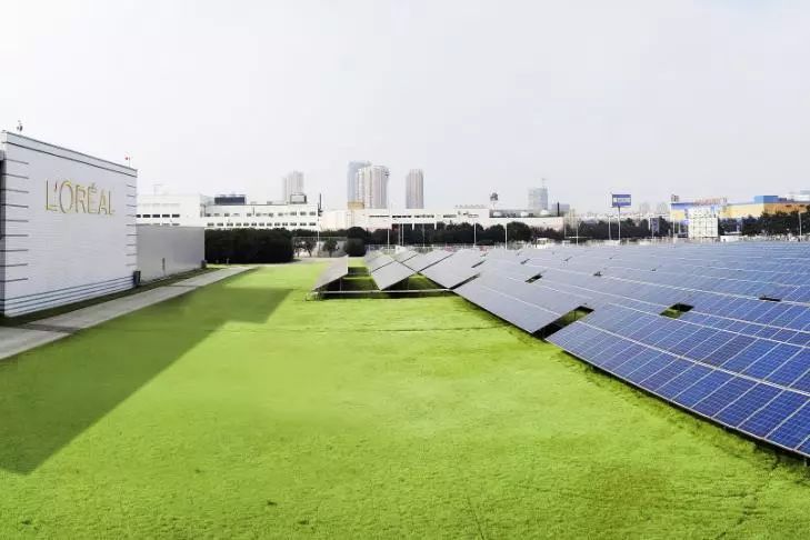 深圳时尚背包生产定制-国内做背包定制(图10) 深圳背包厂家_国内做背包定制_深圳时尚背包生产定制