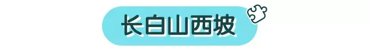 长白山攻略旅游路线_长白山旅游攻略_长白山攻略旅游路线图