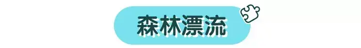长白山旅游攻略_长白山攻略旅游路线_长白山攻略旅游路线图