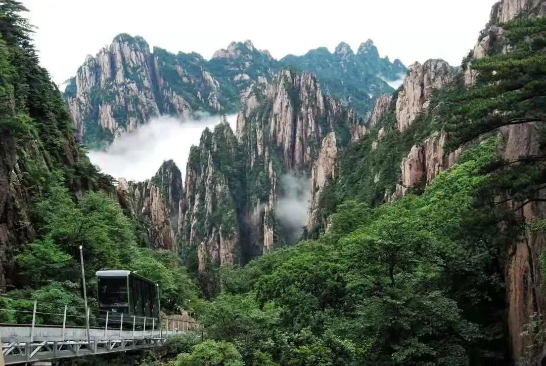杭州九华山是干嘛的_攻略杭州旅游九华山路线_杭州至九华山旅游攻略