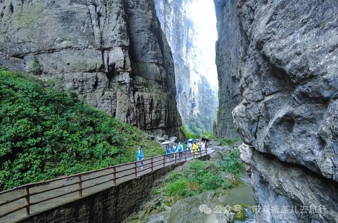 重庆武隆一日游路线_重庆武隆旅游攻略两天_重庆武隆旅游线路