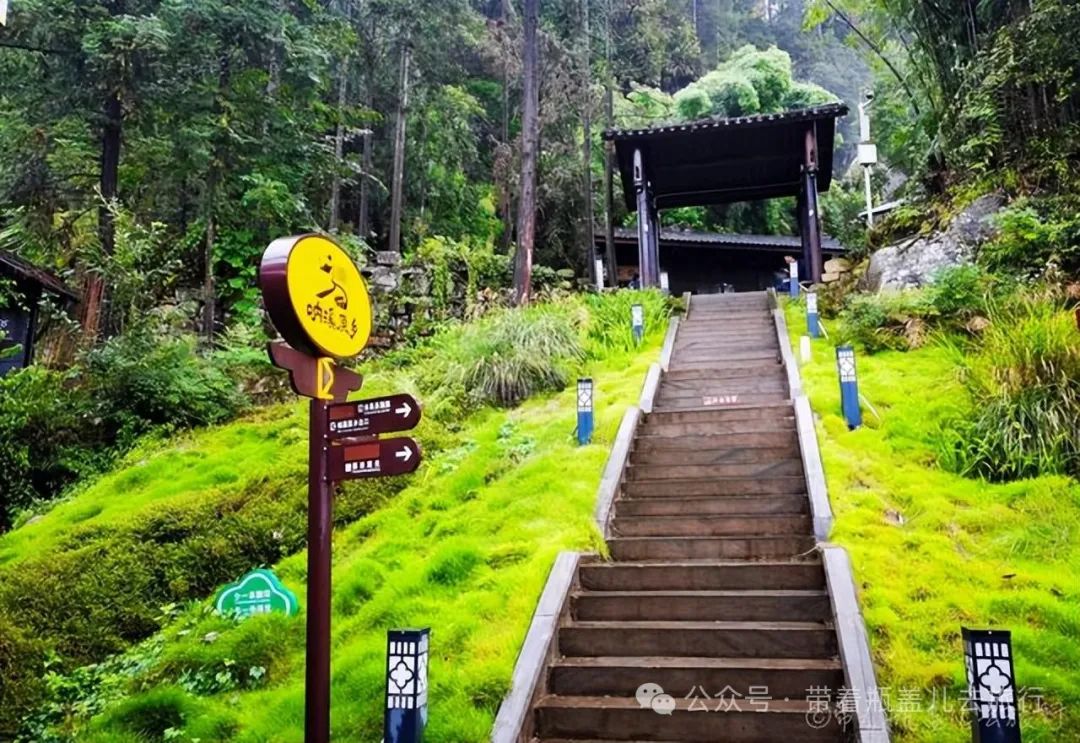 重庆武隆一日游路线_重庆武隆旅游线路_重庆武隆旅游攻略两天
