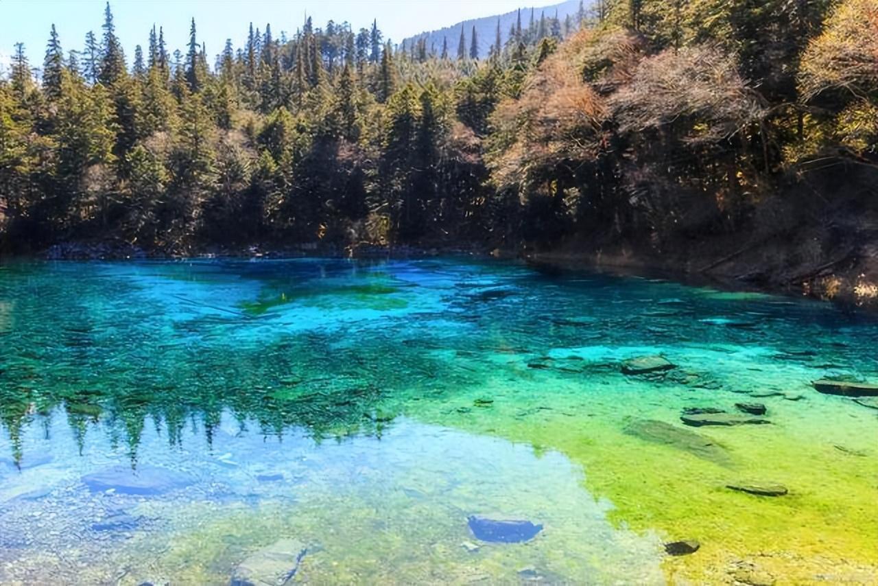九寨沟沟门票价格_九寨沟沟内旅游攻略自由行_九寨沟沟内旅游线路