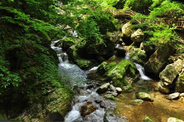 神农架旅游攻略一日游_神农架攻略二日游_神农架旅游攻略二日游