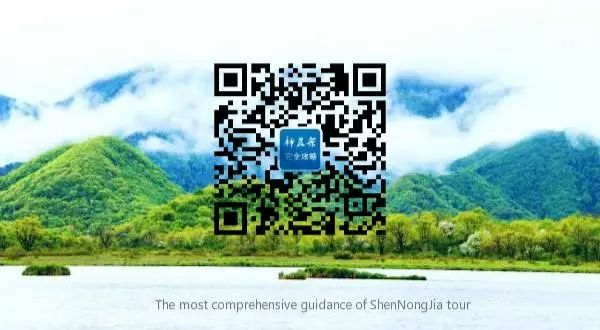 神农架旅游攻略二日游_神农架攻略二日游_神农架旅游攻略一日游