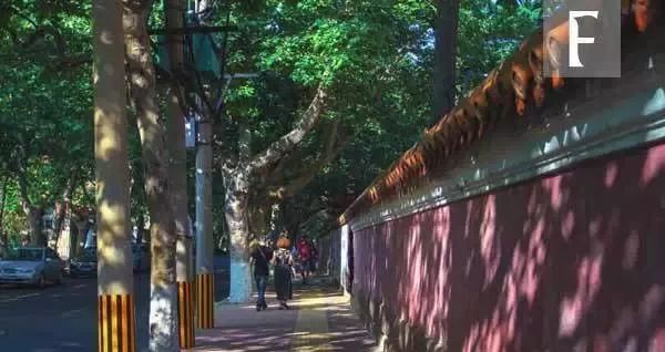 青岛栈桥旅游攻略_青岛旅游攻略必去景点栈桥_青岛攻略旅游栈桥路线