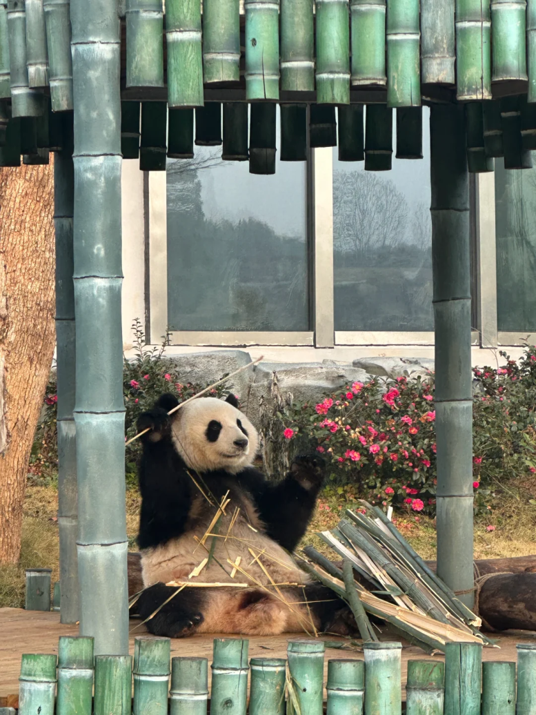湖南岳阳旅游攻略_岳阳旅游攻略_岳阳攻略