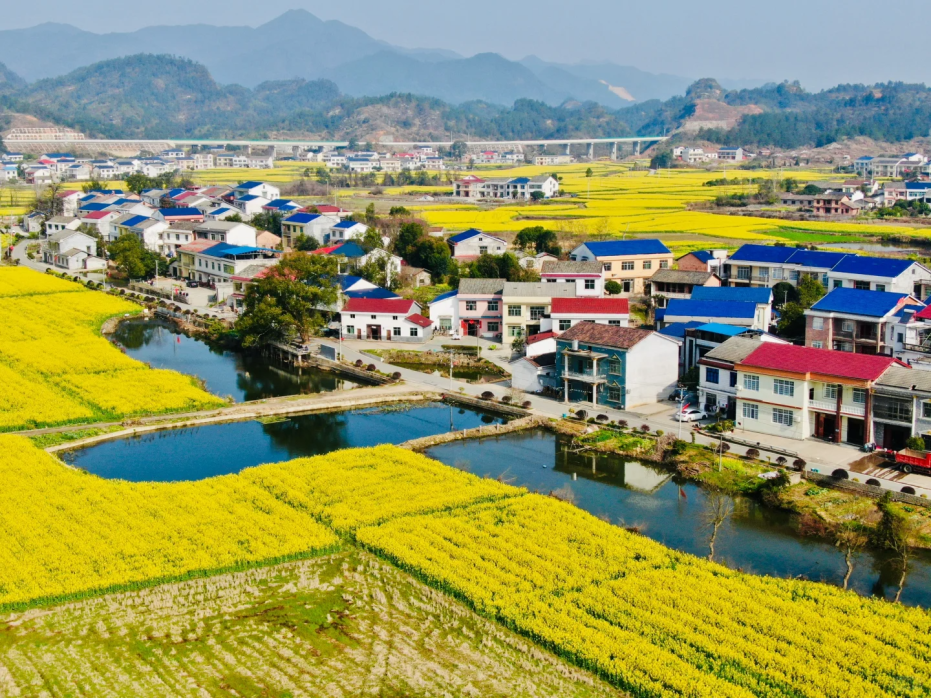 岳阳攻略_湖南岳阳旅游攻略_岳阳旅游攻略