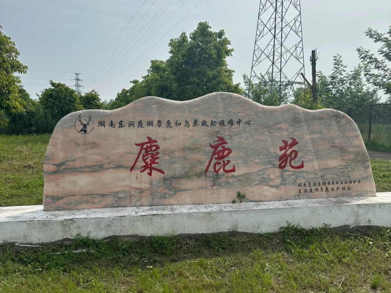 岳阳旅游攻略_岳阳攻略_湖南岳阳旅游攻略