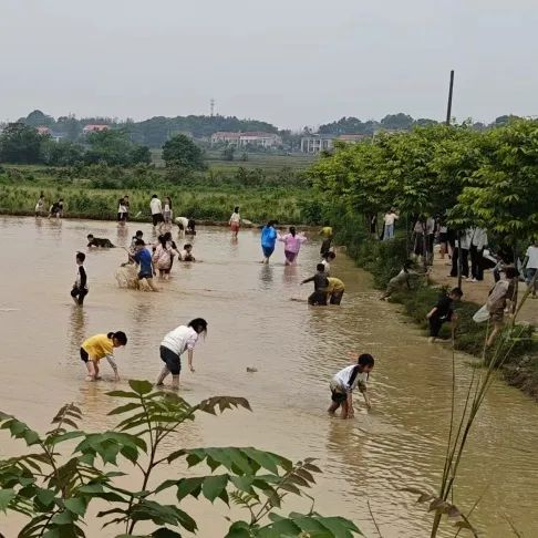 岳阳旅游攻略_岳阳攻略_湖南岳阳旅游攻略