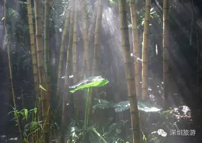攻略深圳旅游大梅沙路线_深圳旅游景点大梅沙_深圳大梅沙旅游攻略