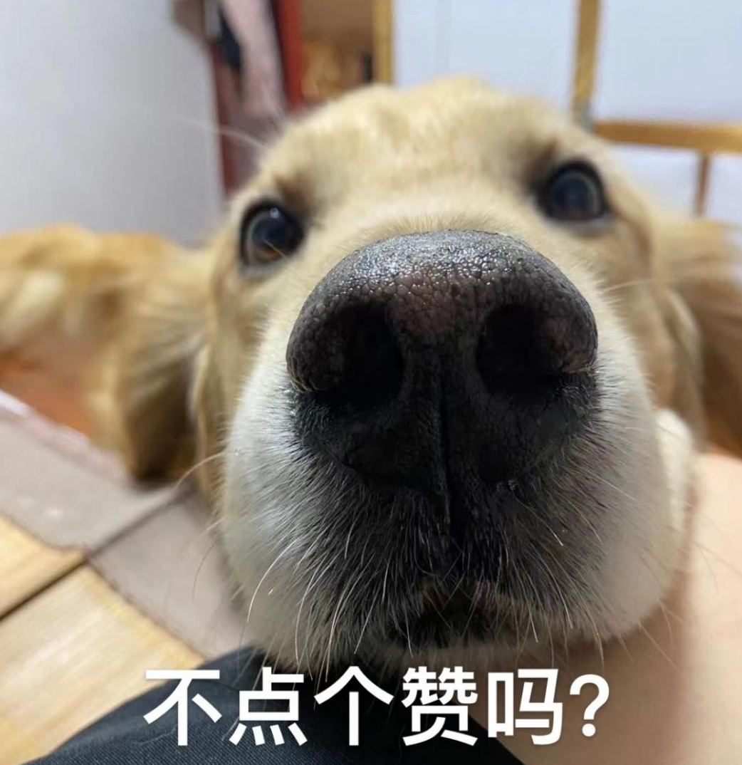湖南岳阳旅游攻略_岳阳旅游攻略_岳阳旅游路线