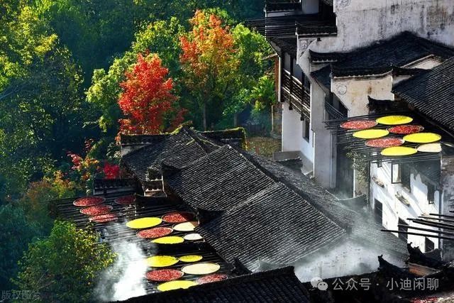 婺源西线旅游攻略_婺源西线旅游景点_婺源西线一日游攻略