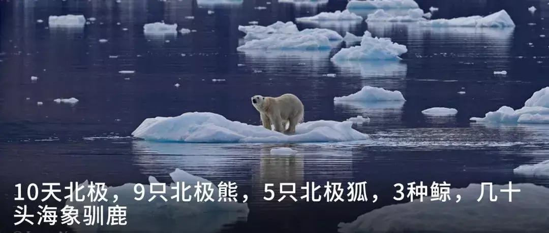 格陵兰旅游攻略_格陵兰景点_格陵兰著名景点
