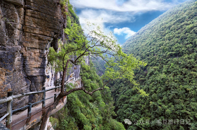 湖北旅游攻略必去景点推荐_湖北旅游攻略必玩的景点_湖北旅游攻略景点必去