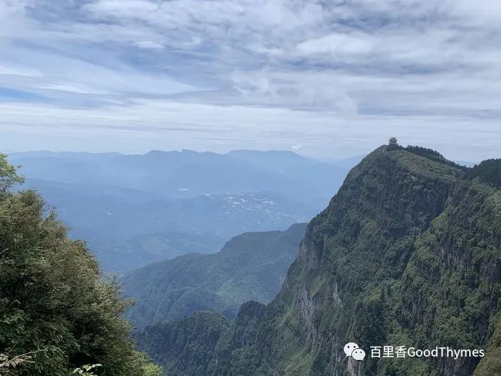 武夷山两日旅游攻略_旅行攻略武夷山_攻略旅游武夷山路线