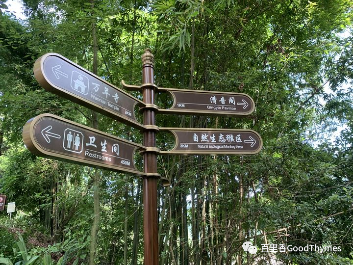 武夷山两日旅游攻略_旅行攻略武夷山_攻略旅游武夷山路线
